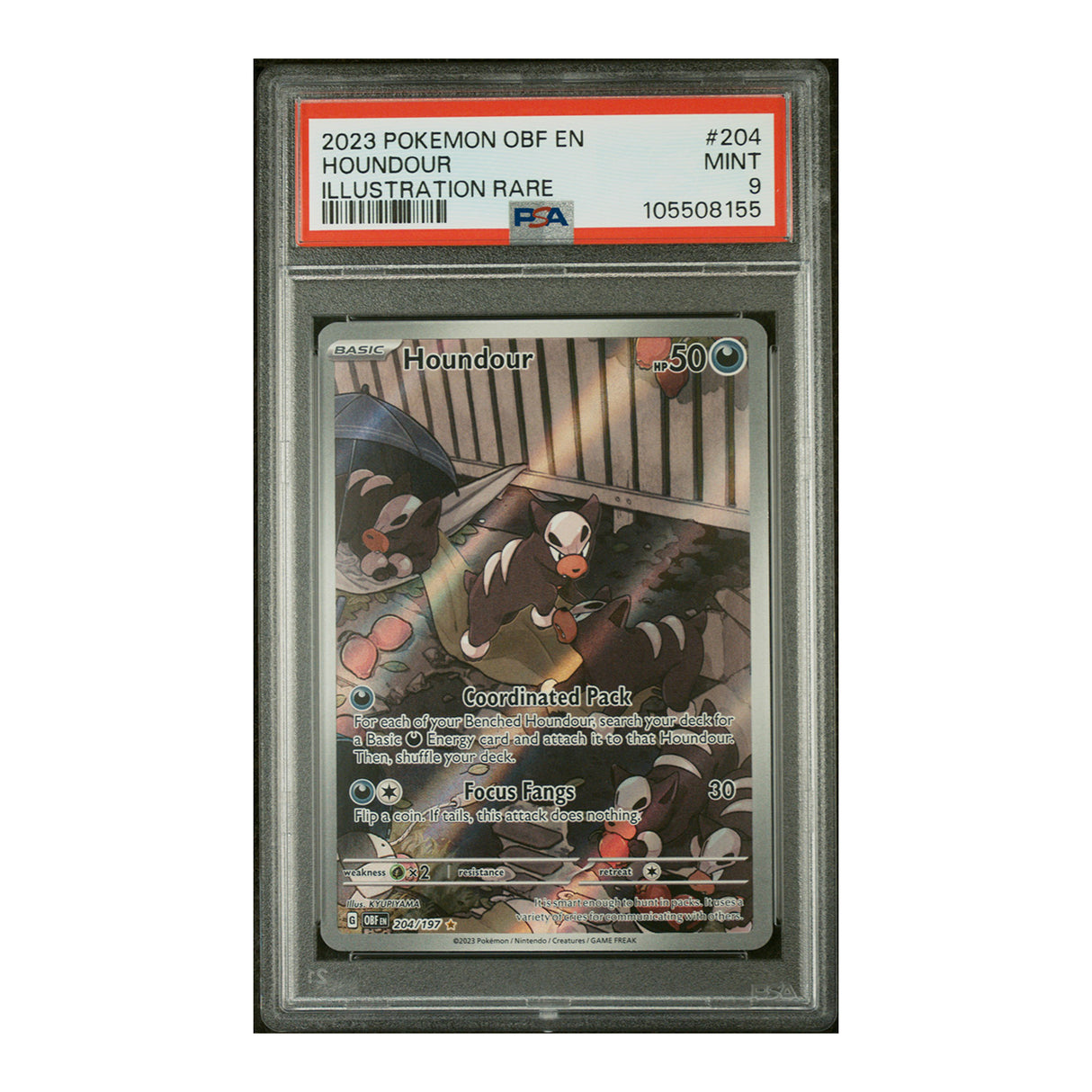 Pokemon - Scarlet & Violet - Obsidian Flames - Houndour - 204/197 (PSA 9 Graded Slab) - JET Cards