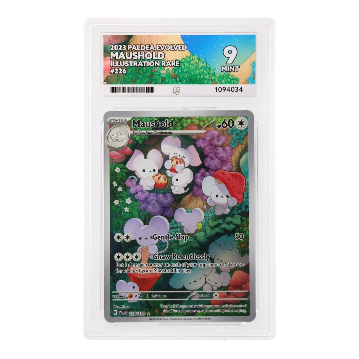 Pokemon - Scarlet & Violet - Paldea Evolved - Maushold - 226/193 (ACE 9 Art Label Graded Slab)