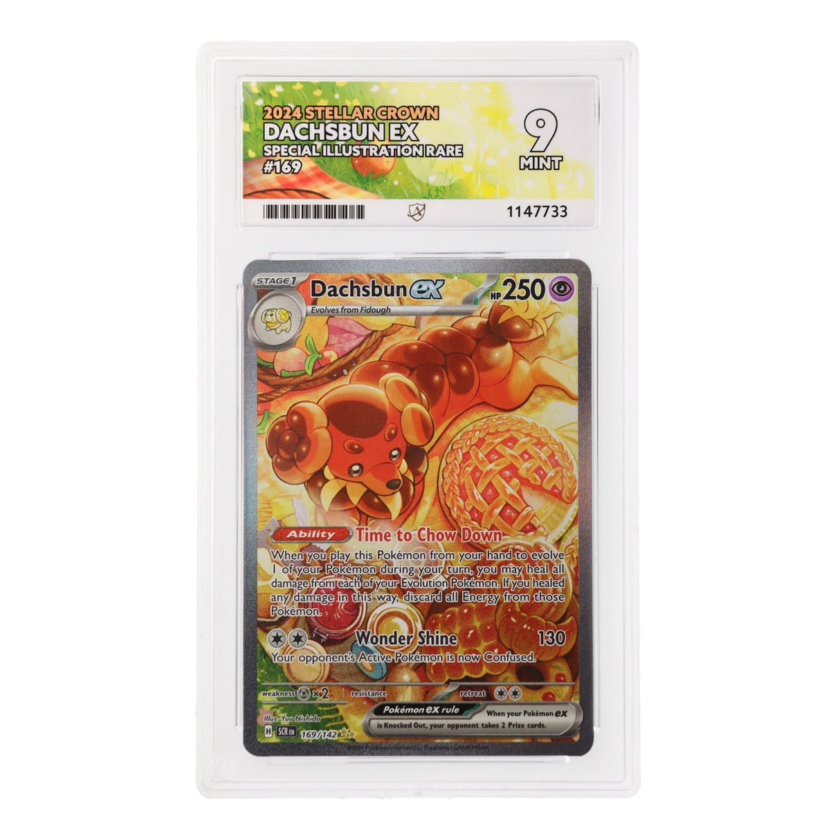 Pokemon - Scarlet & Violet - Stellar Crown - Dachsbun ex - 169/142 (ACE 9 Art Label Graded Slab) - JET Cards