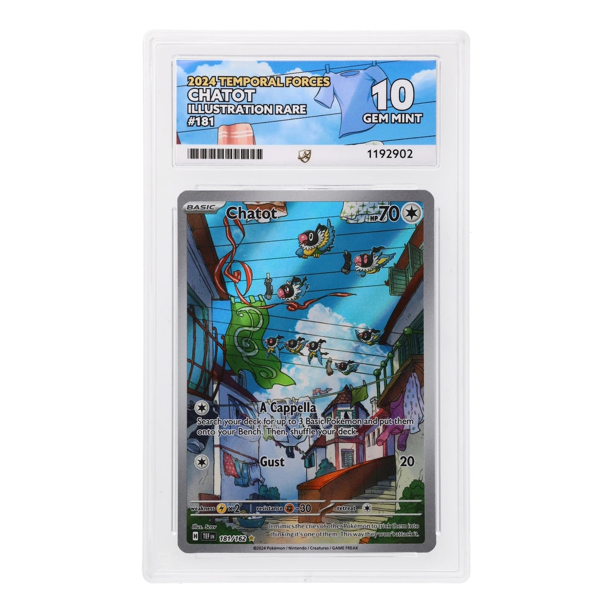 Pokemon - Scarlet & Violet - Temporal Forces - Chatot - 181/162 (ACE 10 Art Label Graded Slab)