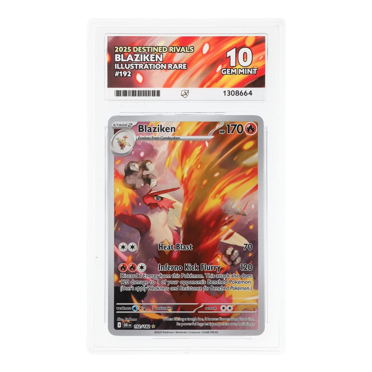 Pokemon - Scarlet & Violet - Destined Rivals - Blaziken - 192/182 (ACE 10 Art Label Graded Slab)