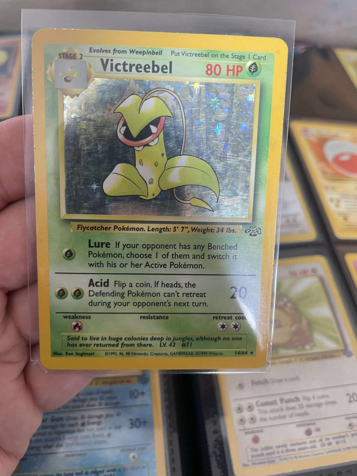 Pokemon - Complete 1999 Jungle Set - Lightly Played to Moderately Played - JET Cards