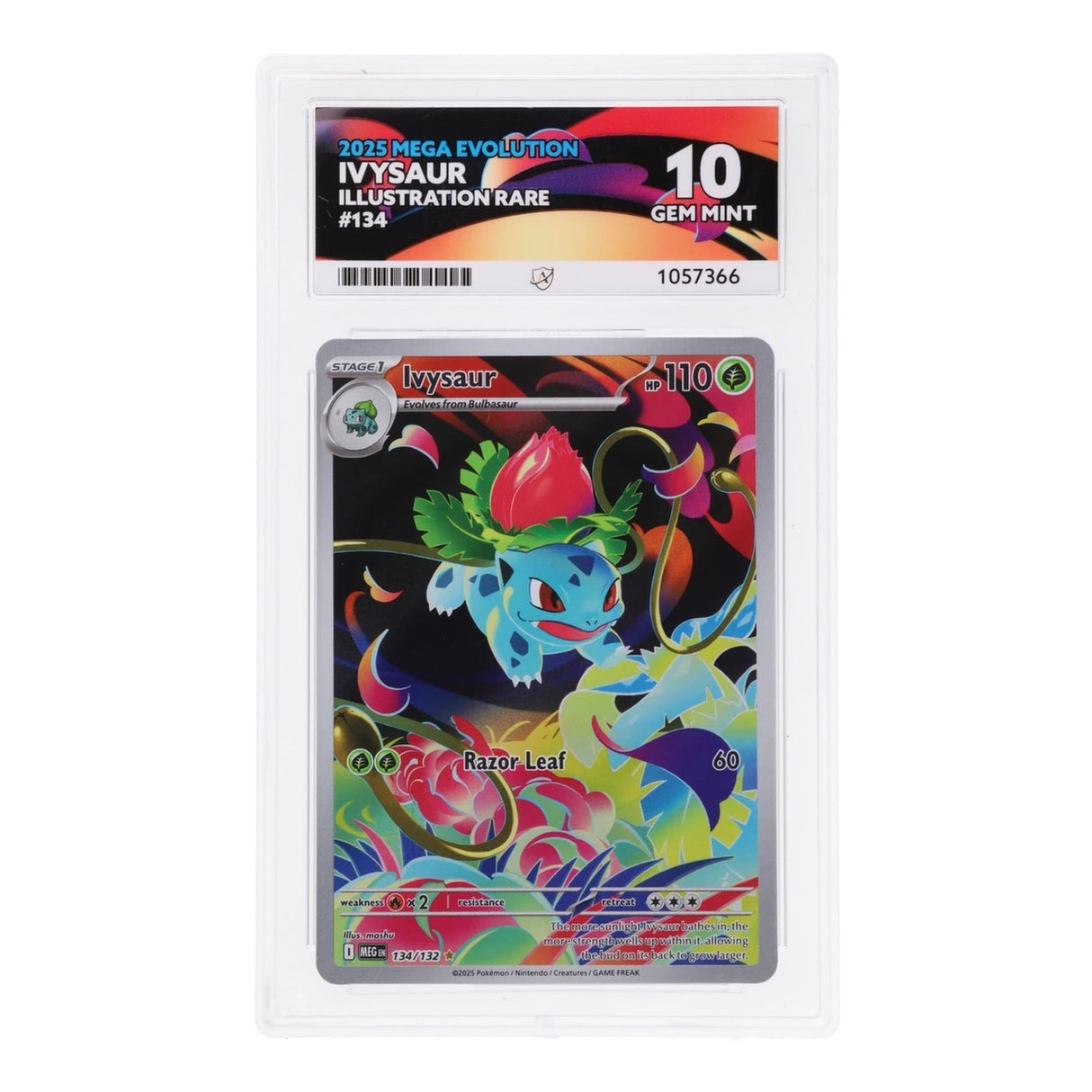 Pokemon - Mega Evolution - Ivysaur - 134/132 (ACE 10 Art Label Graded Slab)