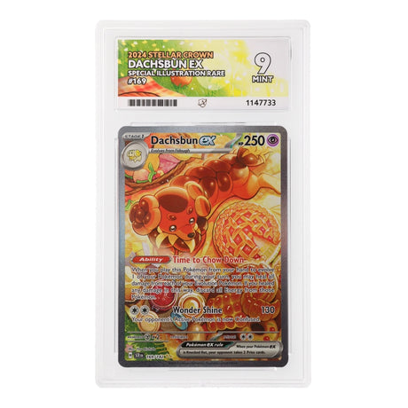 Pokemon - Scarlet & Violet - Stellar Crown - Dachsbun ex - 169/142 (ACE 9 Art Label Graded Slab) - JET Cards