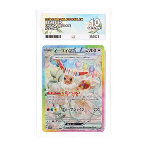 Pokemon - Scarlet & Violet - Terastal Festival ex - Eevee ex - 223/187 (ACE 10 Art Label Graded Slab) - JET Cards