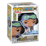 Funko POP! (Exclusive) - One Piece - Kuzan Vinyl Figure #2057
