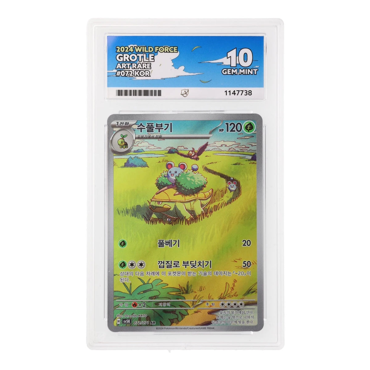 Pokemon - Scarlet & Violet - Wild Force Korean - Grotle - 072/071 (ACE 10 Art Label Graded Slab)