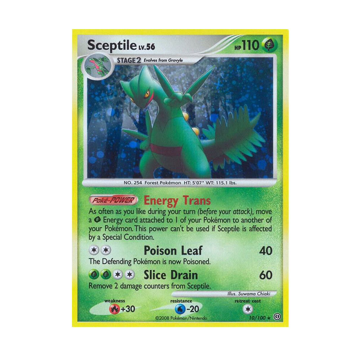 Sceptile 10/100 - Black and White - Stormfront - Rare Holo